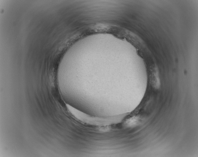 X0000079340604200612082026