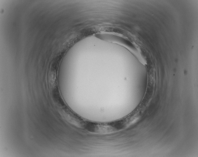 X0000079340605200612082026