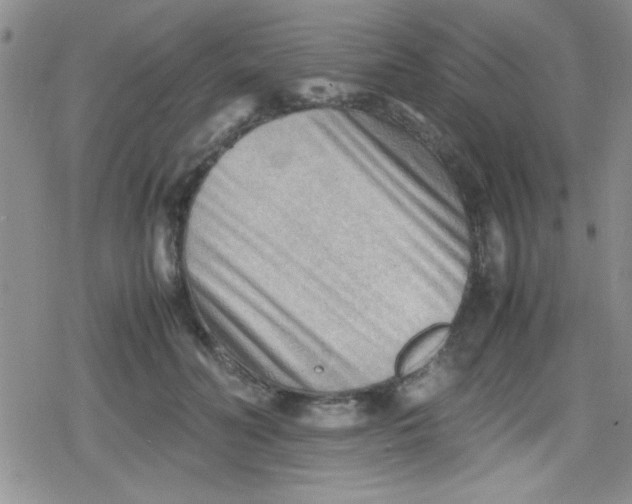 X0000079340606200612082026