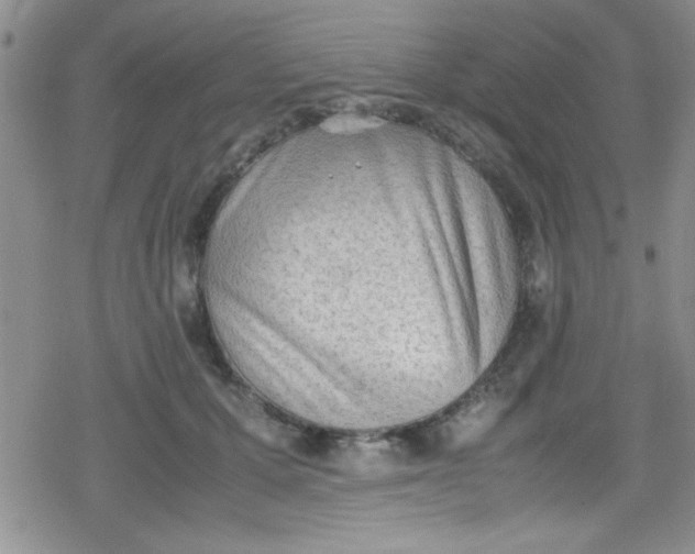 X0000079340607200612082026