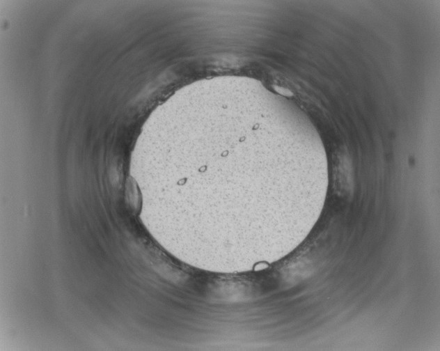 X0000079340608200612082026