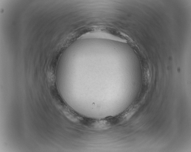 X0000079340609200612082026