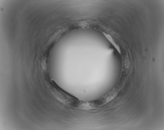 X0000079340611200612082026