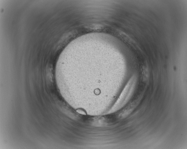 X0000079340612200612082026