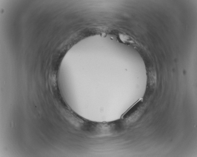 X0000079340613200612082026