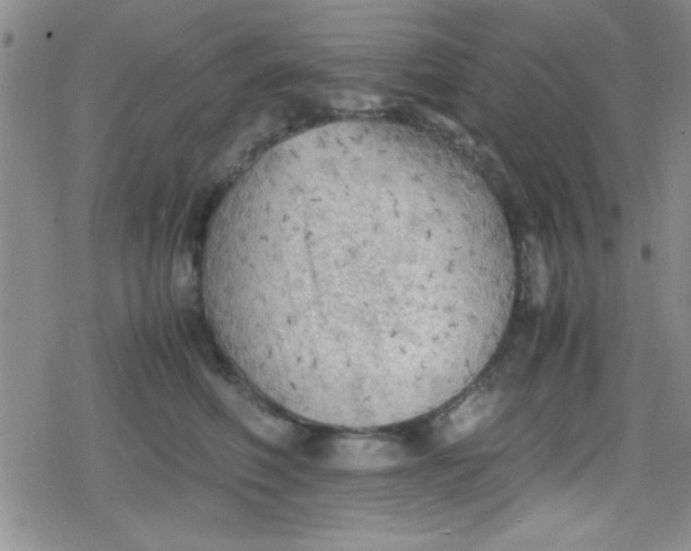 X0000079340614200612082026