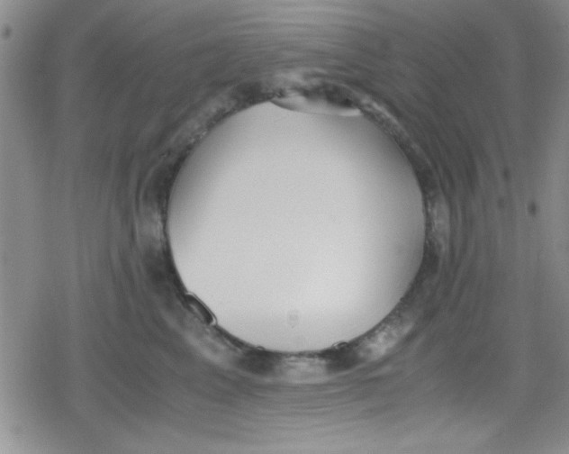 X0000079340617200612082026