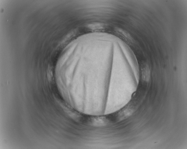 X0000079340618200612082026