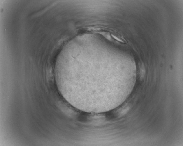 X0000079340619200612082026