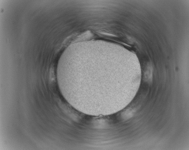 X0000079340620200612082026