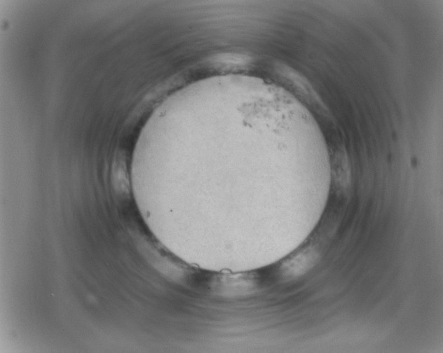 X0000079340622200612082026