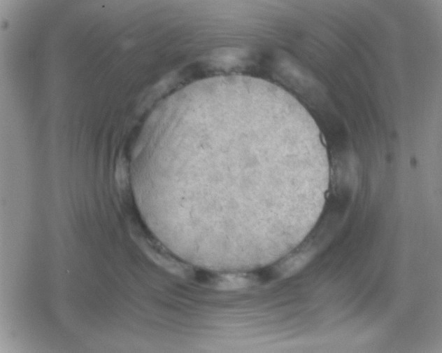 X0000079340623200612082026