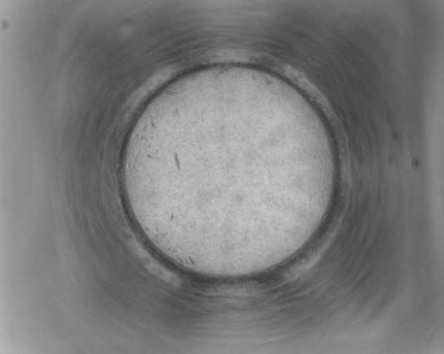 X0000079340625200612082025