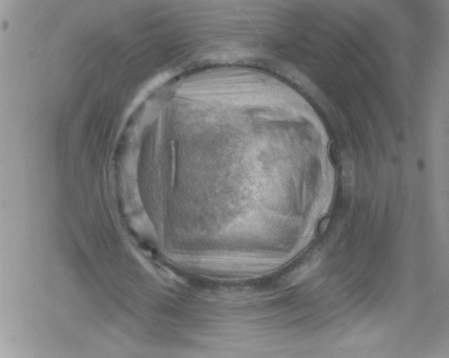 X0000079340626200612082025