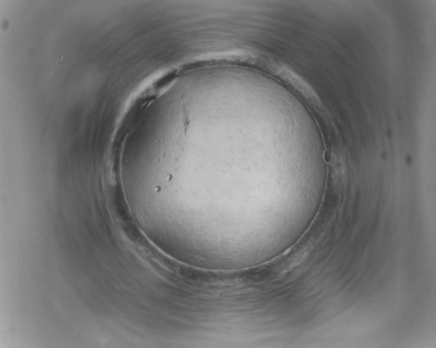 X0000079340628200612082025