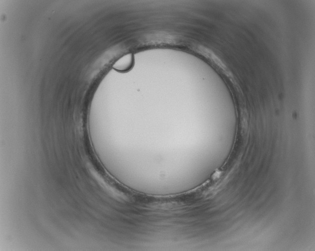 X0000079340629200612082025