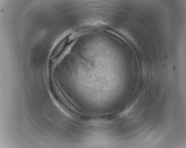 X0000079340630200612082025