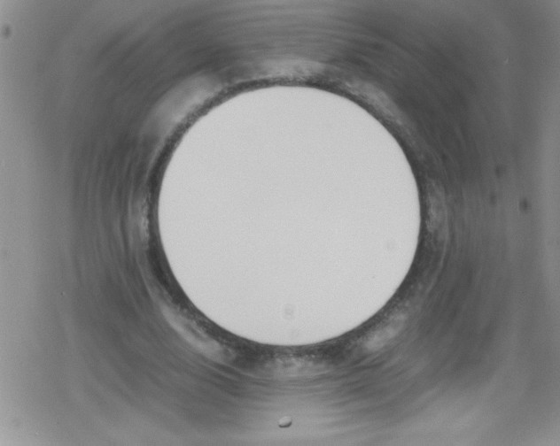 X0000079340632200612082025