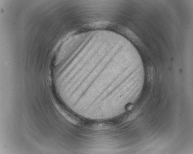 X0000079340634200612082025