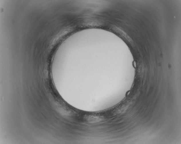 X0000079340635200612082025