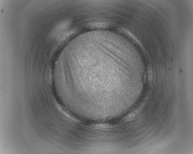 X0000079340637200612082025