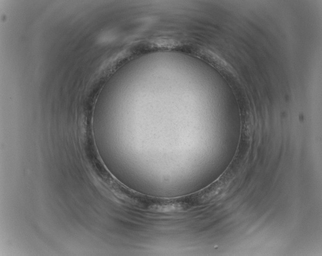 X0000079340639200612082025