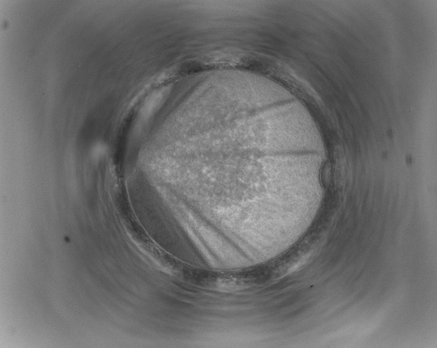 X0000079340641200612082025