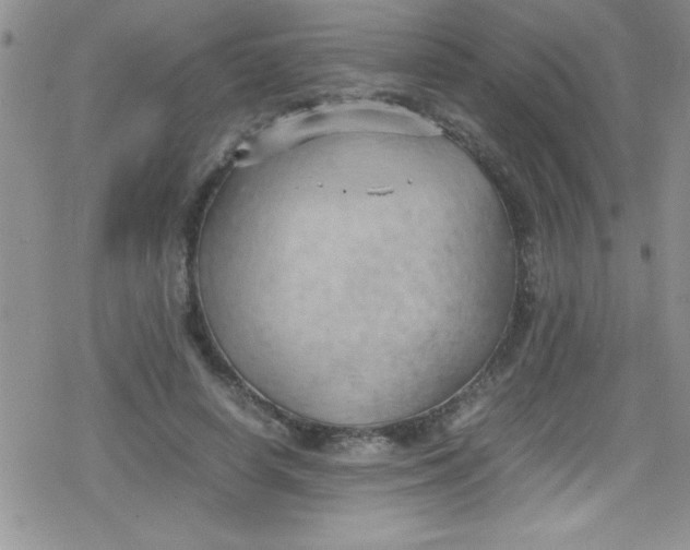 X0000079340642200612082025