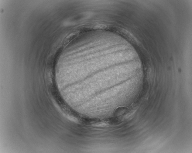 X0000079340643200612082025