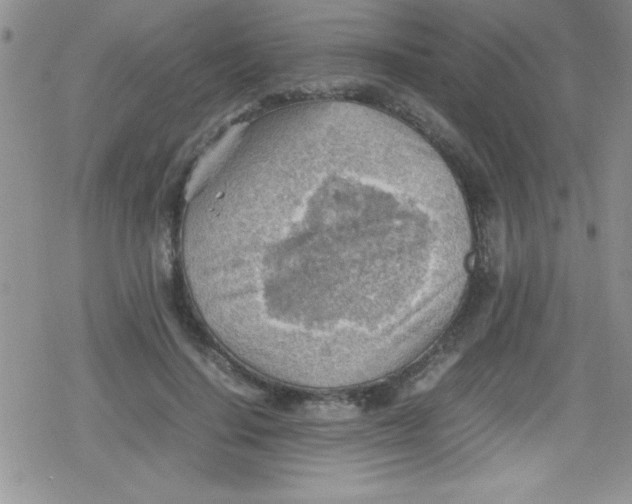 X0000079340644200612082025