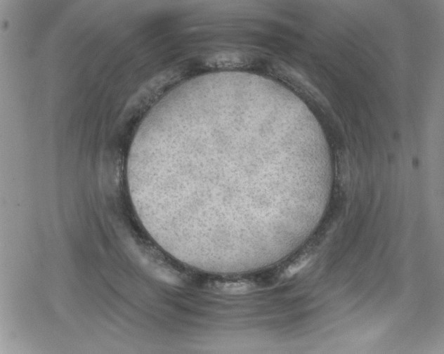 X0000079340645200612082025