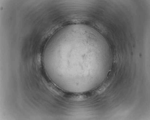 X0000079340646200612082025