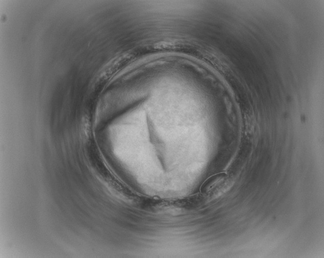 X0000079340648200612082025