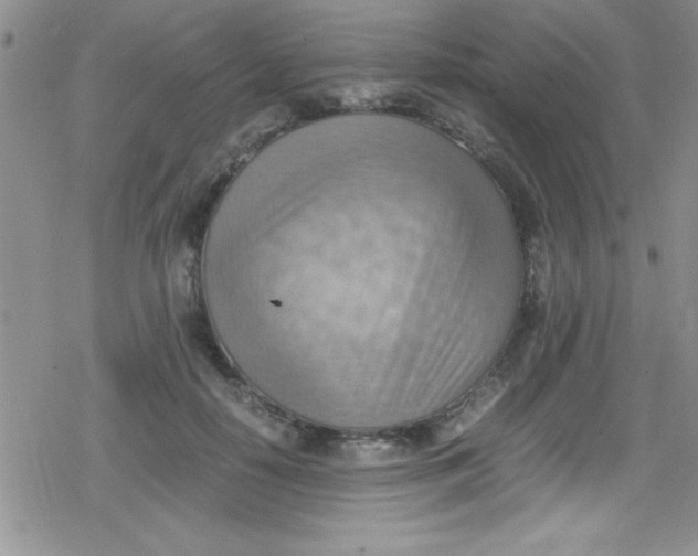 X0000079340650200612082025