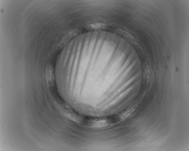 X0000079340651200612082025