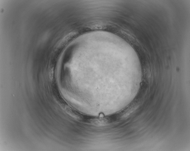 X0000079340652200612082025