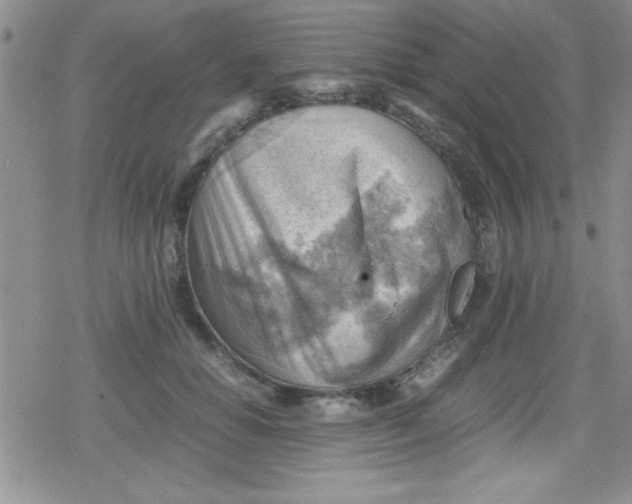 X0000079340654200612082025