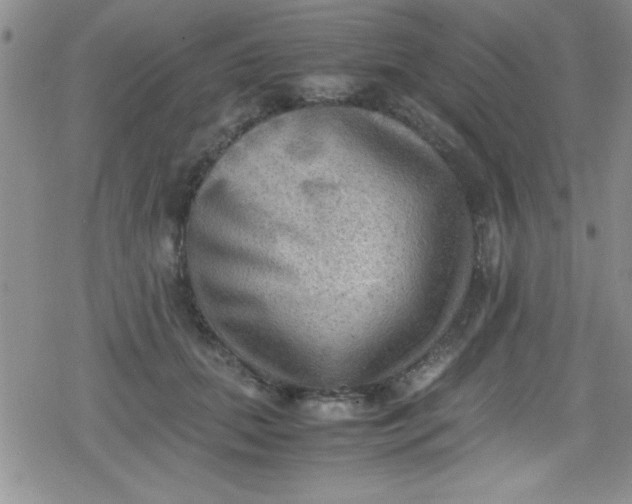 X0000079340655200612082025