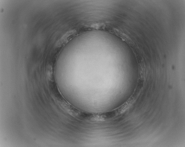 X0000079340656200612082025