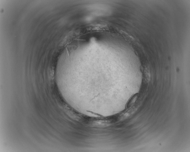 X0000079340657200612082025