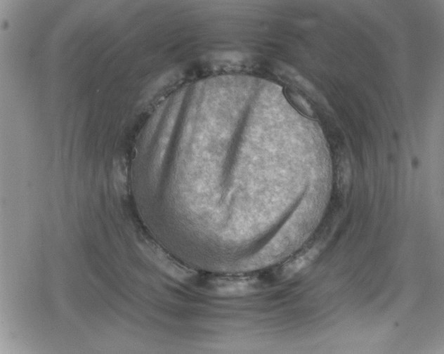 X0000079340661200612082025