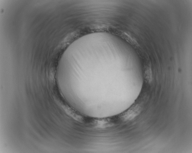 X0000079340662200612082025