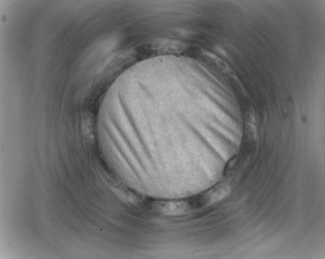 X0000079340663200612082026