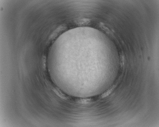 X0000079340664200612082026