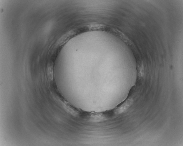 X0000079340666200612082026