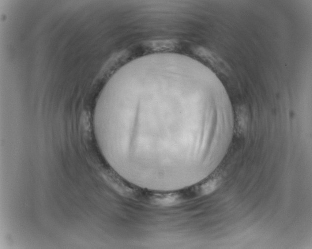 X0000079340667200612082026