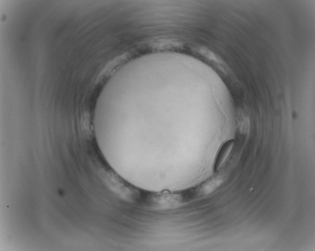 X0000079340670200612082026