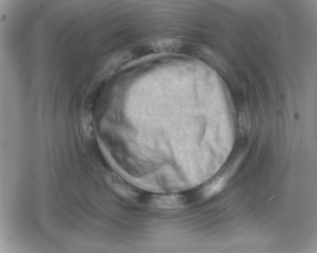 X0000079340671200612082026