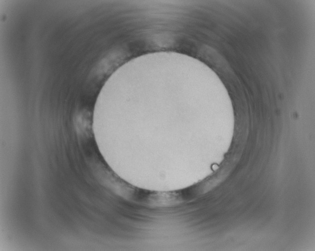 X0000079340672200612082026