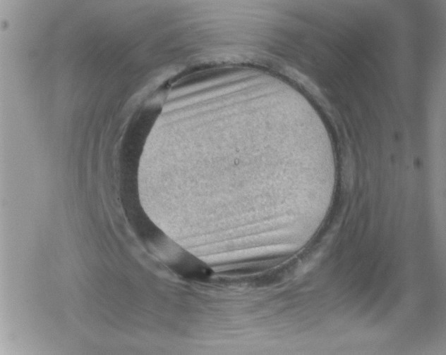 X0000079340673200612082025